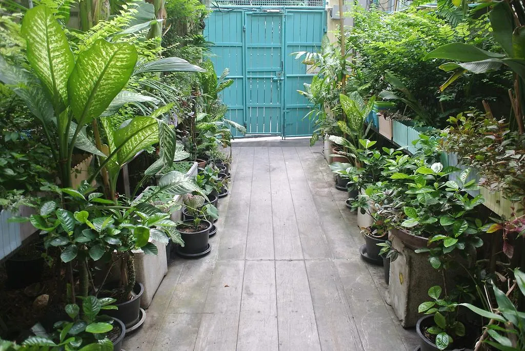 Eco House-1