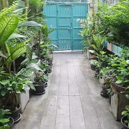 Eco House-3