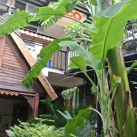 Eco House-2